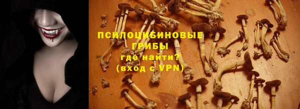 каннабис Алзамай