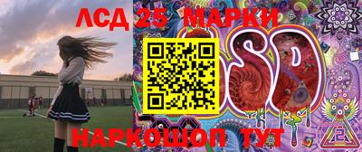 гашик Тверь
