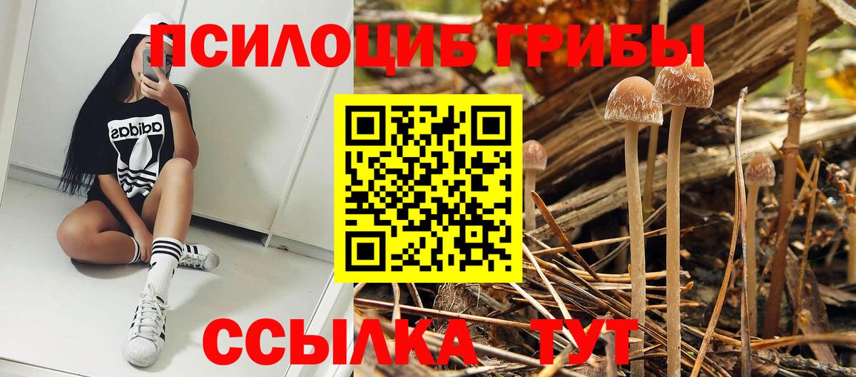 Псилоцибиновые грибы MAGIC MUSHROOMS Лиски