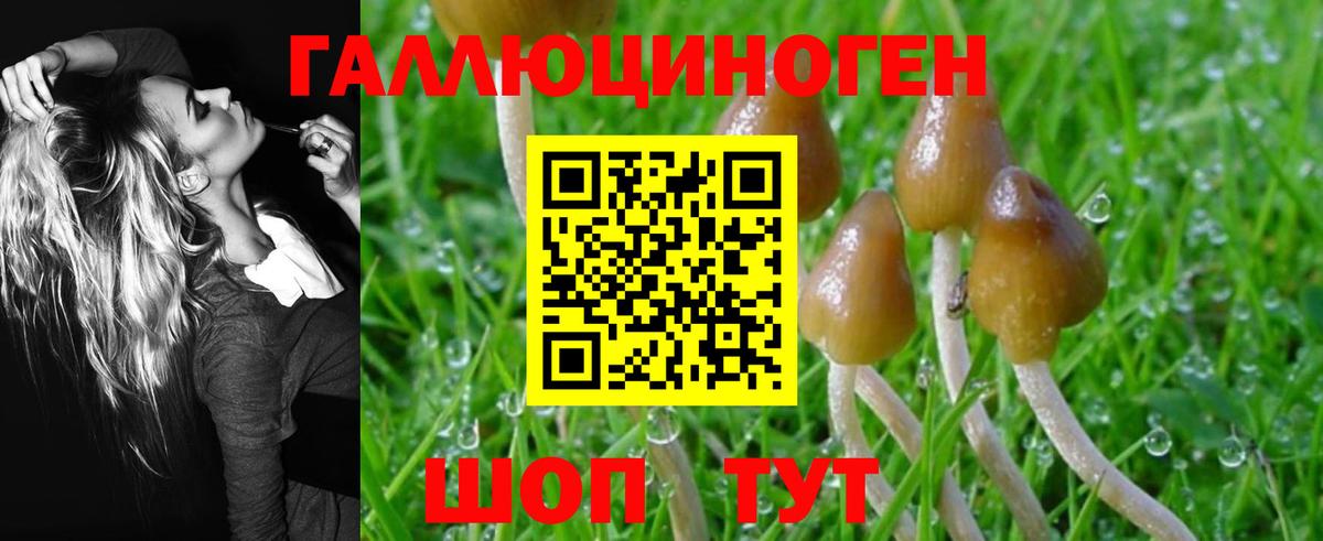 Псилоцибиновые грибы Psilocybe  Вход с VPN  Лиски 