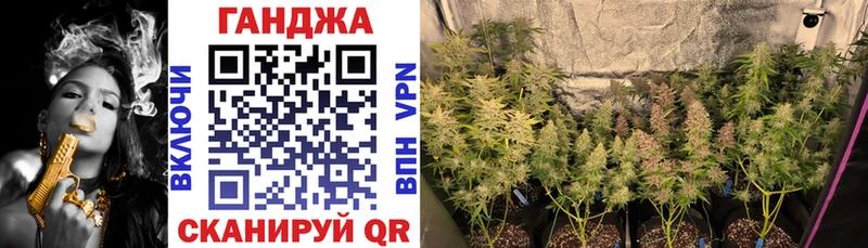 Бошки Шишки планчик  Лиски 